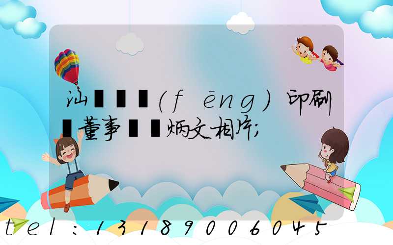 汕頭東風(fēng)印刷廠董事長黃炳文相片