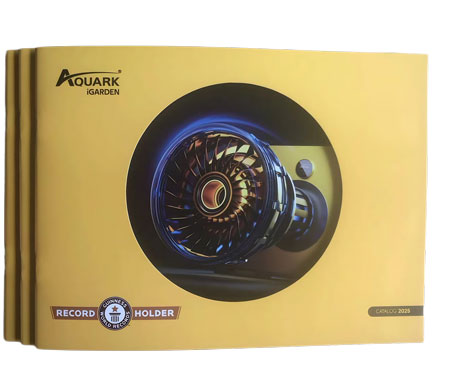 專業定制立體書制作廠家，為您鑄就卓越品質